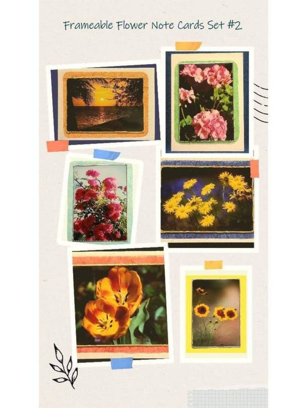 Flower Photo Note Cards: Frameable Art Cards with Envelopes - Set #2